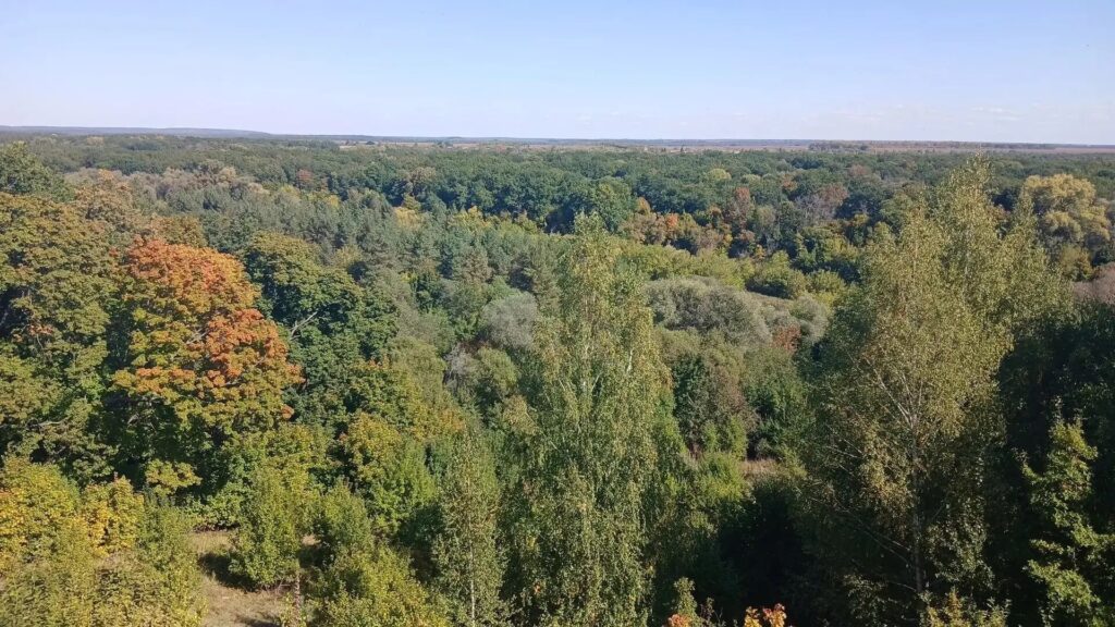 Вот и наступили долгожданные выходные! 🍁Друзья, желаем всем безмятежного осеннего настроения, которым можно насладиться на природе. А прекрасных мест в Саратовской области немало.…