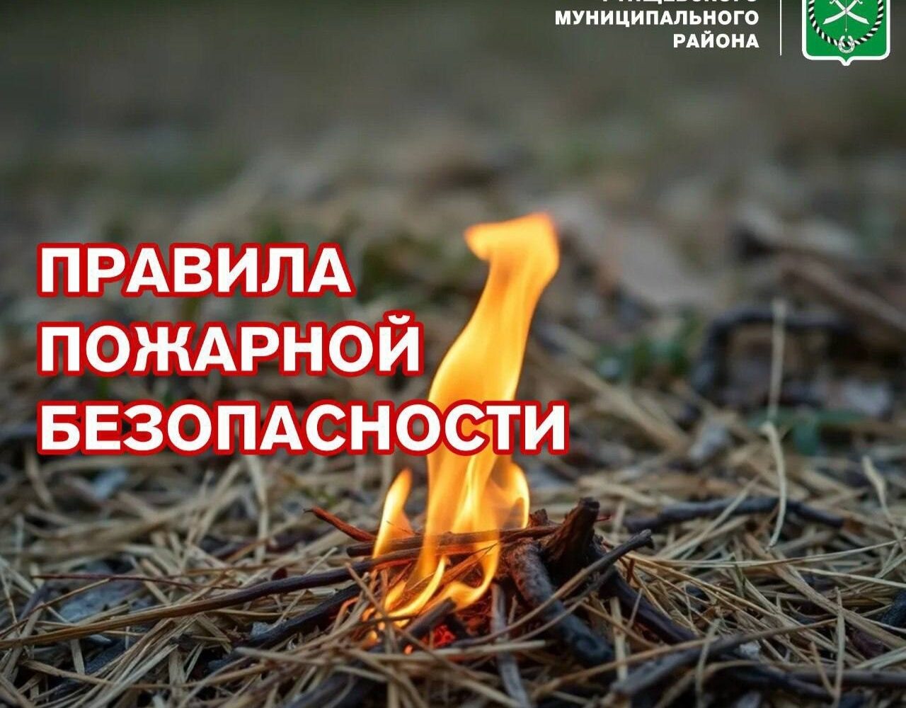 Правила пожарной безопасности! • Не разводите костры вблизи сухой травы и деревьев. Всегда очищайте место для костра от сухой растительности и обкладывайте его камнями или песком.…