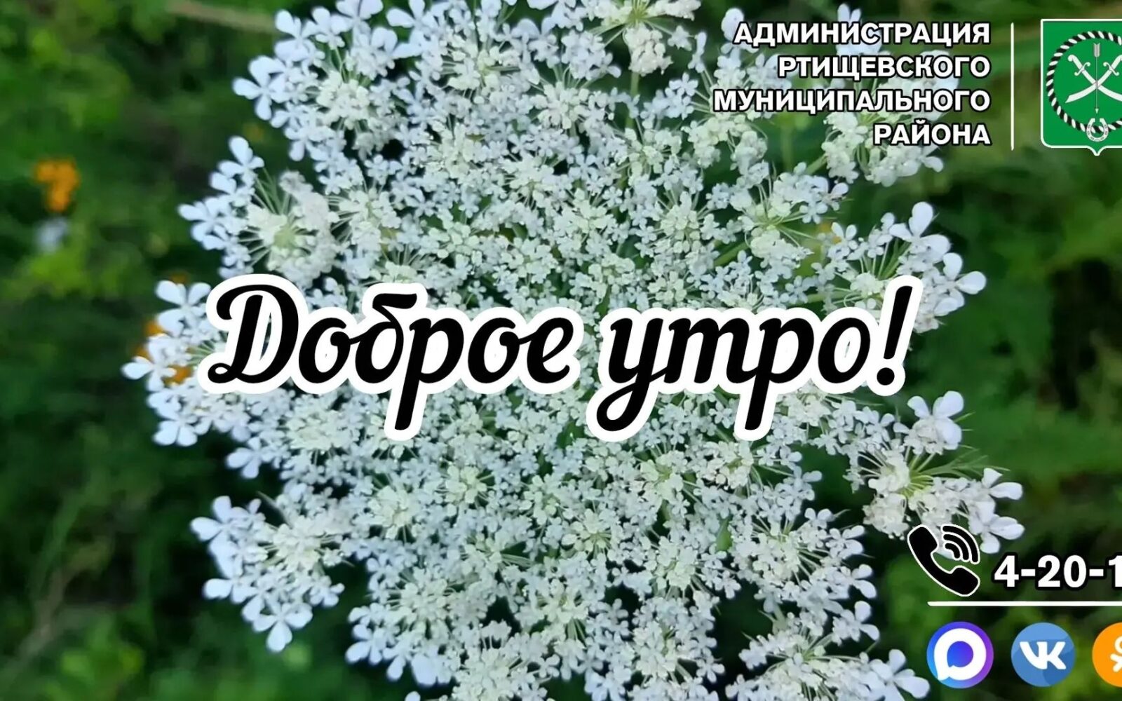 Доброе утро, дорогие подписчики! Пусть этот день принесёт вам радость, вдохновение и новые силы для достижения целей.
