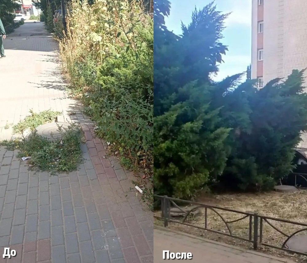 По поручению главы района Максима Леонова продолжается работа по комплексному благоустройству нескольких кварталов, расположенных вблизи «Бульвара роз». Специалисты МКУ «Городское…