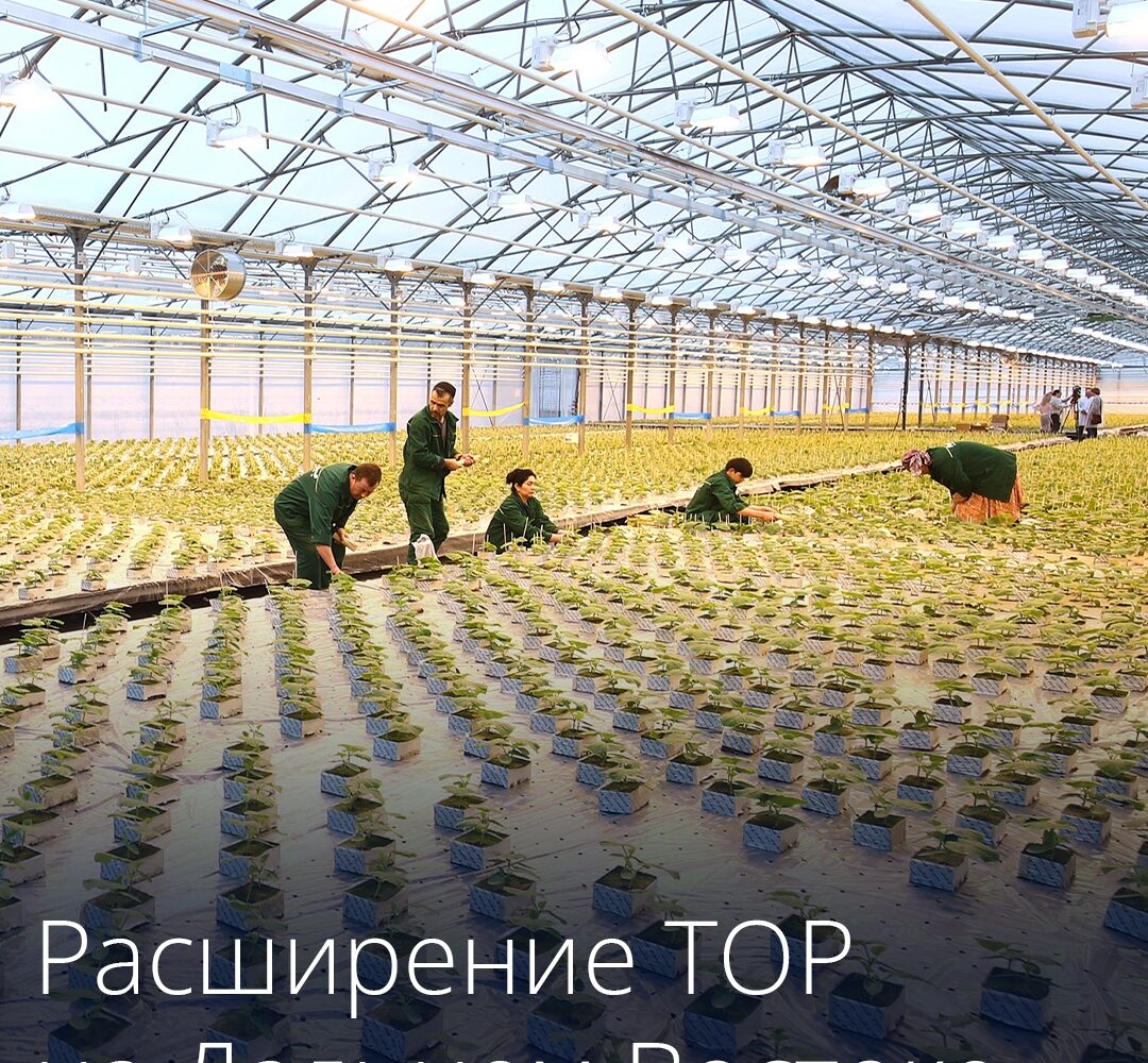 Расширение границ территорий опережающего развития на Дальнем Востоке. В границы ТОР «Хабаровск» будут включены земельные участки на территории муниципального района имени Лазо. Э…