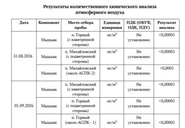 Информация о состоянии окружающей среды в районе расположения филиала «Экотехнопарк «Михайловский» ФГУП «ФЭО» По данным производственного экологического контроля и мониторинга окр…