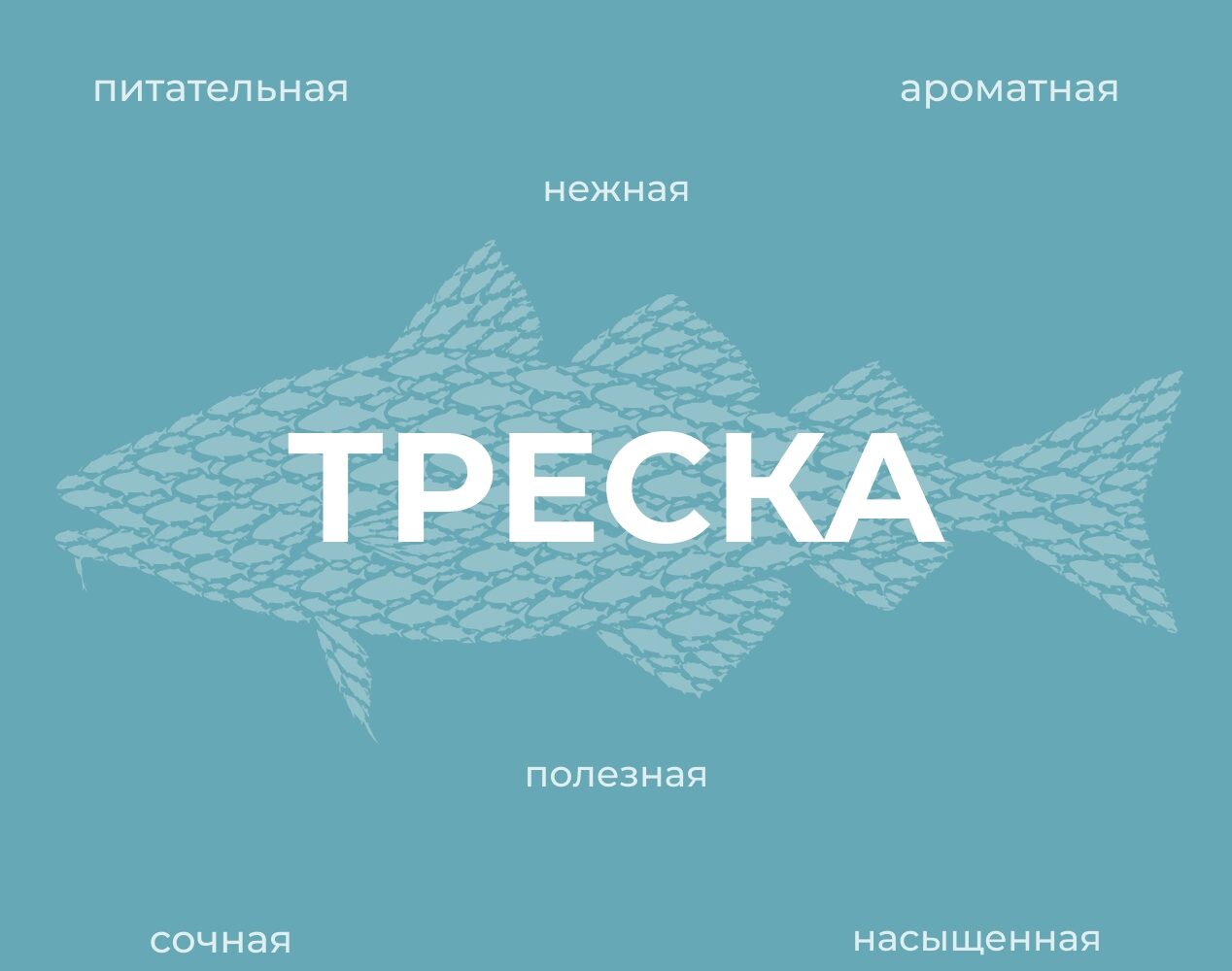 Вместе с [ продолжаем рубрику #рыбный_четверг. Сегодня в центре внимания – треска, одна из самых известных и востребованных промысловых рыб. 🔝 Наша страна входит в число мировых л…