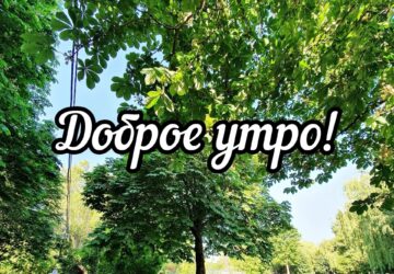 Доброе утро, дорогие подписчики! ✨ Улыбка делает мир ярче. Начните утро с улыбки себе и окружающим!