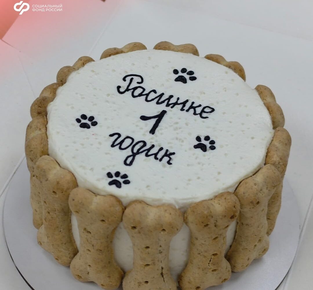 С днем рождения, Росинка Нашей [ любимице] сегодня исполняется 1 год. Подарили имениннице праздничный торт — из сочной говядины с кабачком. 🐶 Росинка заметно повзрослела, поумнела…