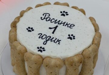 С днем рождения, Росинка Нашей [ любимице] сегодня исполняется 1 год. Подарили имениннице праздничный торт — из сочной говядины с кабачком. 🐶 Росинка заметно повзрослела, поумнела…