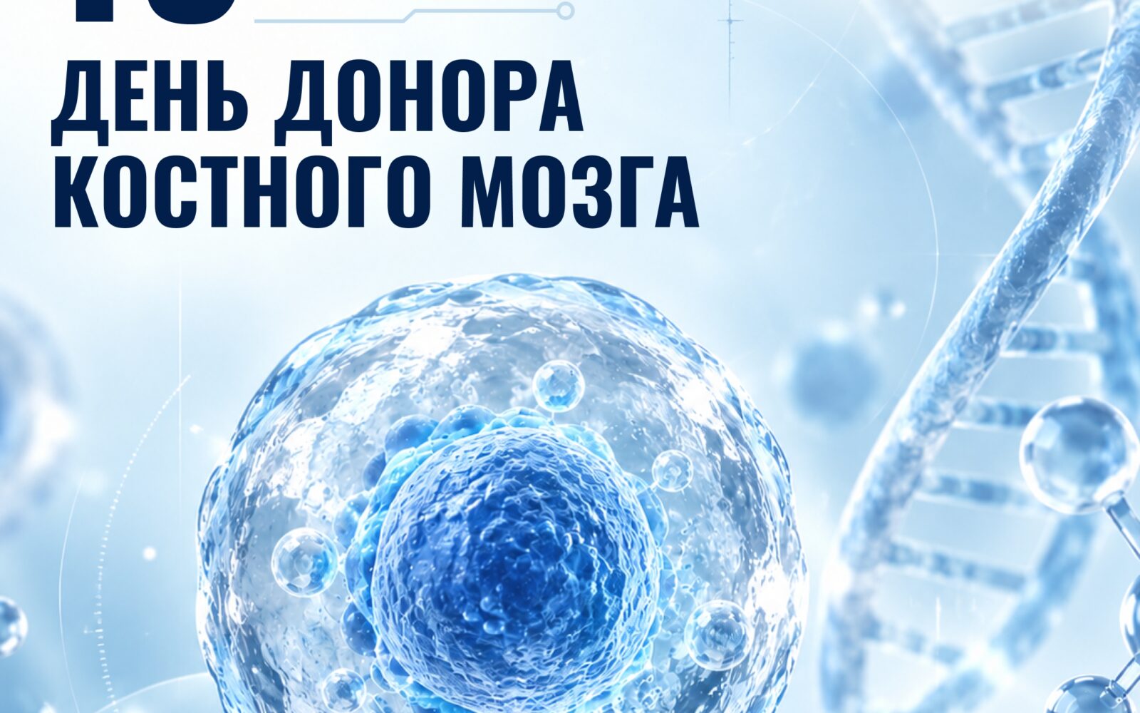 19 сентября – День донора костного мозга. Трансплантация кроветворных клеток проводится при лечении онкологических заболеваний, нарушениях в системе кроветворения и в иммунной сис…