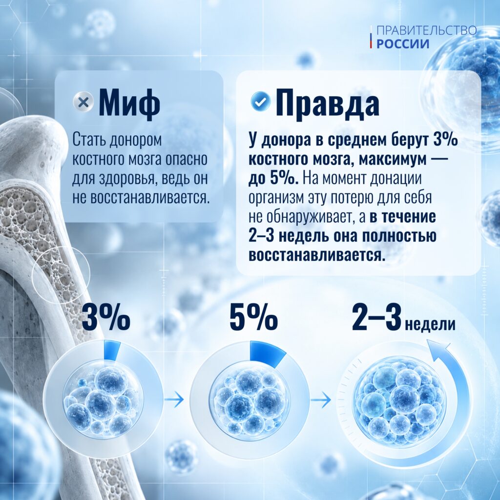 19 сентября – День донора костного мозга. Трансплантация кроветворных клеток проводится при лечении онкологических заболеваний, нарушениях в системе кроветворения и в иммунной сис…