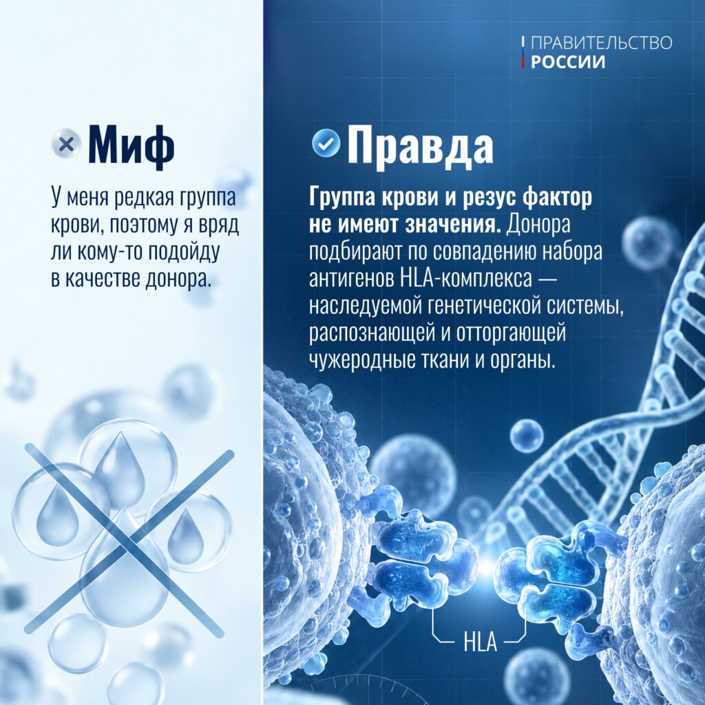 19 сентября – День донора костного мозга. Трансплантация кроветворных клеток проводится при лечении онкологических заболеваний, нарушениях в системе кроветворения и в иммунной сис…