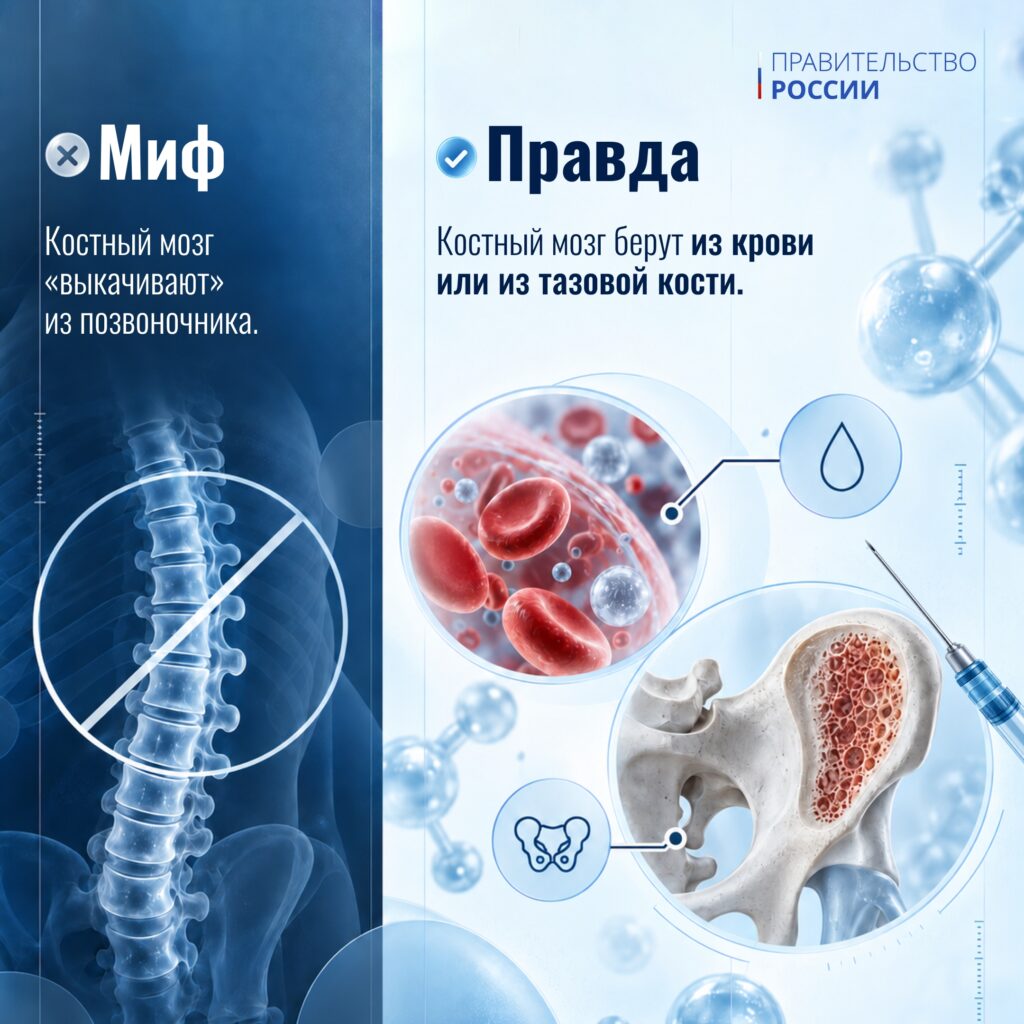 19 сентября – День донора костного мозга. Трансплантация кроветворных клеток проводится при лечении онкологических заболеваний, нарушениях в системе кроветворения и в иммунной сис…
