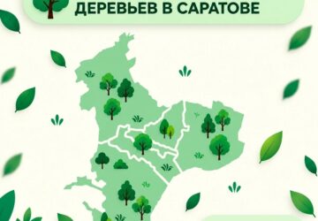 Саратове стартует осенняя высадка крупномеров В рамках региональной программы по озеленению в Октябрьском, Фрунзенском и Кировском районах Саратова появится порядка 300 новых саже…