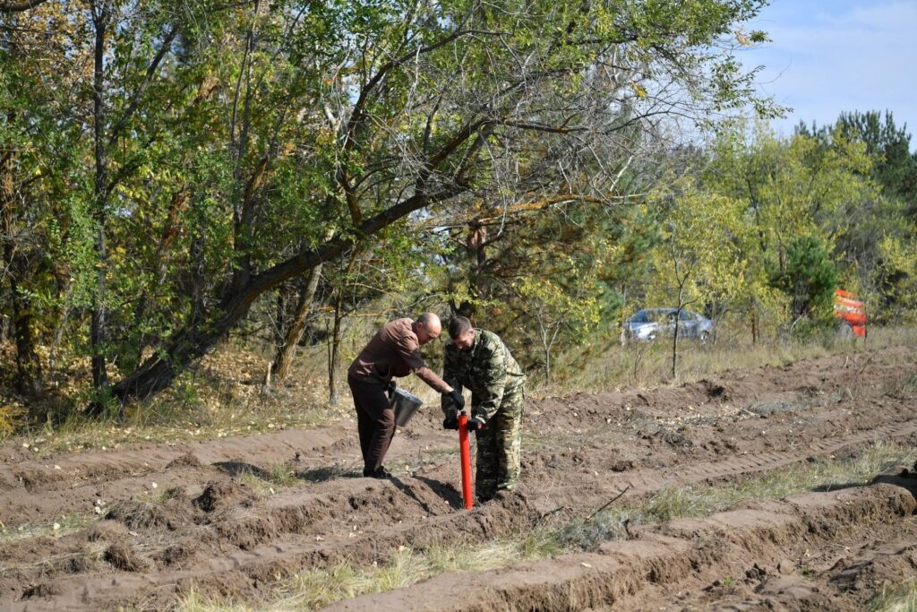 Поздравляю с профессиональным праздником всех работников и ветеранов лесной отрасли! Каждый из вас - человек особой закалки: ответственный, внимательный, преданный своему делу. Ва…